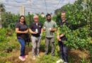 German-Based HAS to Invest €1 Million to Expand Nano-Agriculture Solutions for Indian Farmers