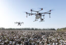 Latest Agrochemical Launches in India 2026: New Herbicides, Insecticides and Fungicides