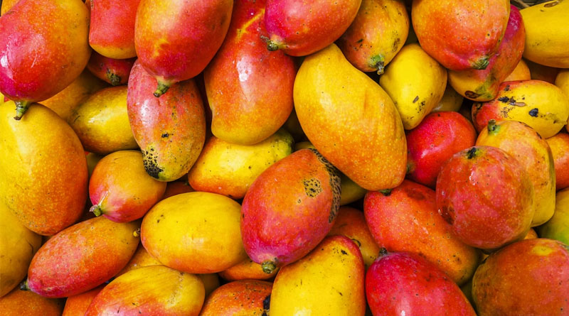 Nepal Clarifies No Ban on Indian Mango Imports, Phytosanitary Measures Remain in Force