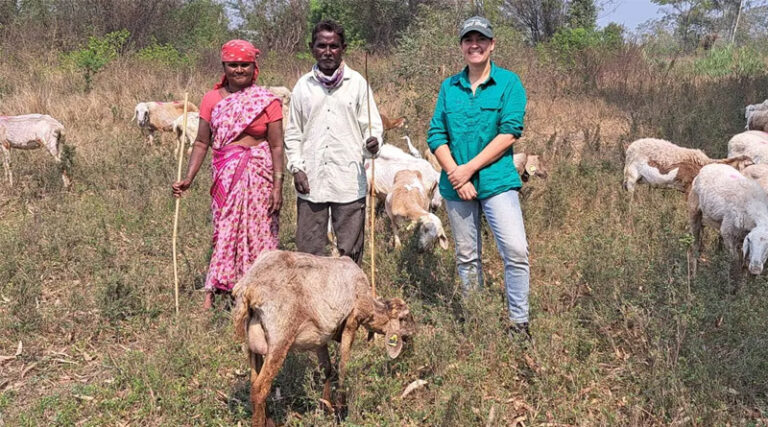 Advancing Low-methane Sheep And Goat Production In India