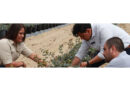 DLL, AGRI3 & Rivulis Launch Blended Finance for Sustainable Agriculture