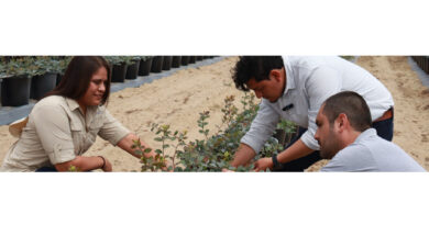 DLL, AGRI3 & Rivulis Launch Blended Finance for Sustainable Agriculture DLL, AGRI3 & Rivulis Launch Blended Finance for Sustainable Agriculture