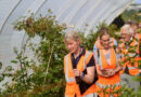 Fruit for the Future Returns To Showcase Cutting-edge Innovation In Soft Fruit Breeding And Technology