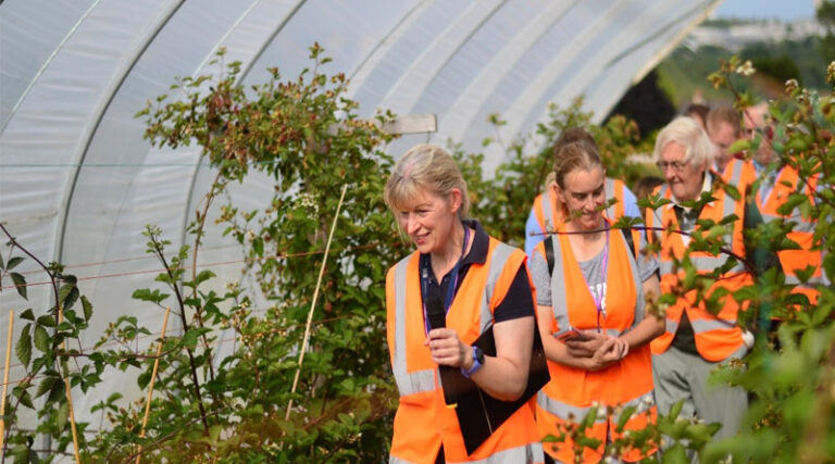 Fruit for the Future Returns To Showcase Cutting-edge Innovation In Soft Fruit Breeding And Technology