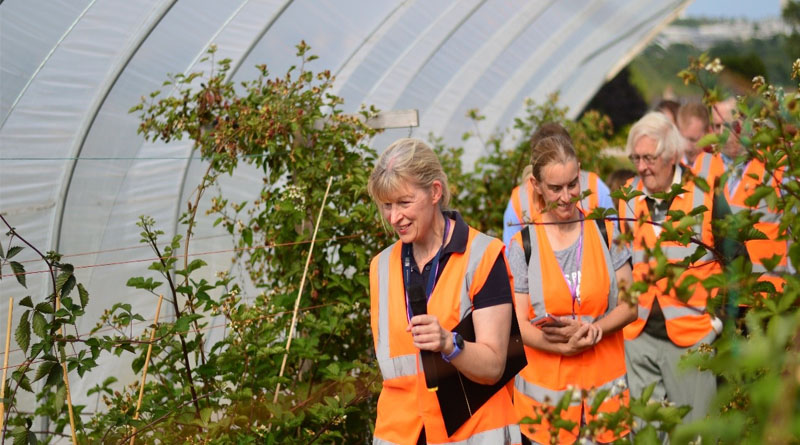 Fruit for the Future Returns To Showcase Cutting-edge Innovation In Soft Fruit Breeding And Technology