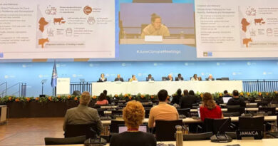 Scaling Climate Action In Agriculture Starts With Context