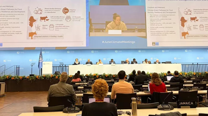 Scaling Climate Action In Agriculture Starts With Context