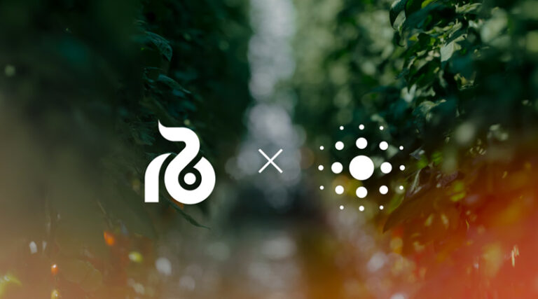 eternal.ag and Rijk Zwaan Partner to Explore Tomato Traits for Robotic Greenhouse Operations