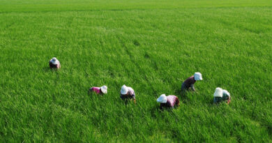 India Expands Crop Protection Network with New Pest Management Centre in Varanasi