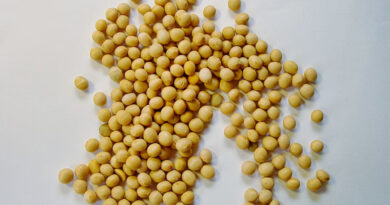 India Releases IS 20201:2026 for Community Seed Bank Management