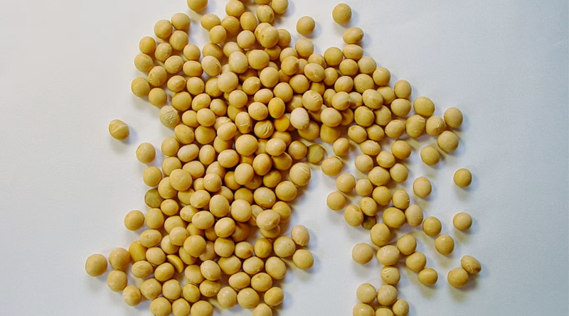 India Releases IS 20201:2026 for Community Seed Bank Management