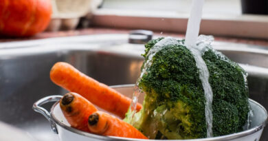 Pesticide Residues in Indian Food: What 9 Years of Data Tells Us Pesticide Residues in Indian Food: What 9 Years of Data Tells Us
