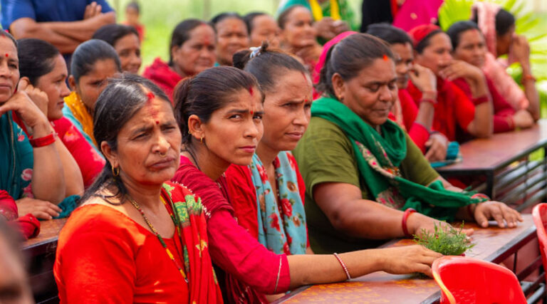 Transforming Nepal’s Maize Sector Through Innovation, Partnerships, and Investment