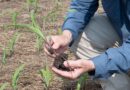 K-State Agricultural Economist Says SOil Health Practices May Go Hand-in-hand With Farm Profitability