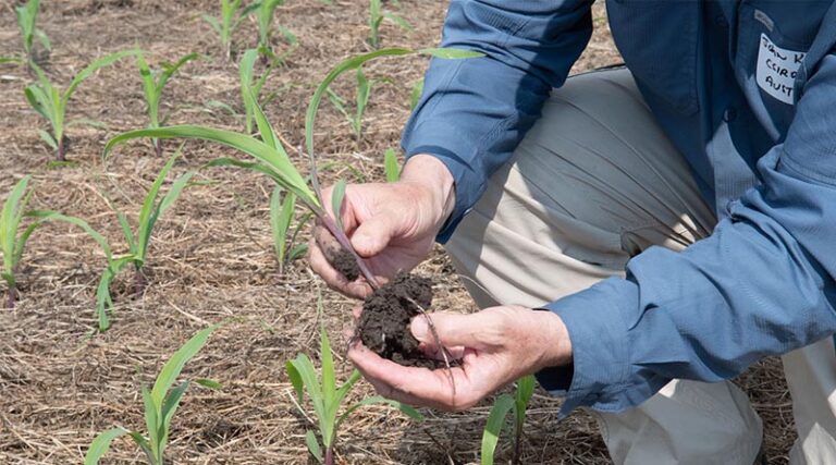 K-State Agricultural Economist Says SOil Health Practices May Go Hand-in-hand With Farm Profitability
