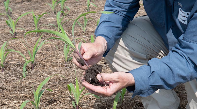 K-State Agricultural Economist Says SOil Health Practices May Go Hand-in-hand With Farm Profitability