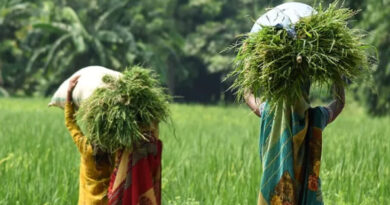 CGIAR Climate Action Awards Six Research Grants to Deepen Research on GESI Across The Program