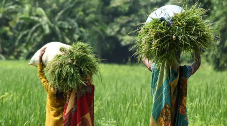 CGIAR Climate Action Awards Six Research Grants to Deepen Research on GESI Across The Program