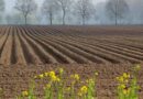 Healing the "Stifled" Soil: A New Agricultural Blueprint for Cleaner Air and Sturdier Yields