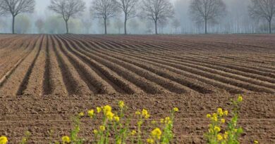 Healing the "Stifled" Soil: A New Agricultural Blueprint for Cleaner Air and Sturdier Yields