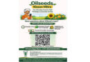 AI Advisory for Indian Oilseed Farmers Goes Live on WhatsApp