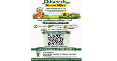 AI Advisory for Indian Oilseed Farmers Goes Live on WhatsApp AI Advisory for Indian Oilseed Farmers Goes Live on WhatsApp