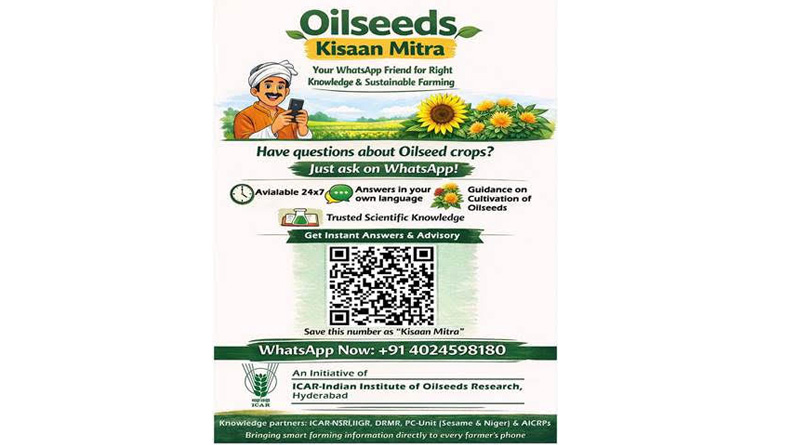 AI Advisory for Indian Oilseed Farmers Goes Live on WhatsApp
