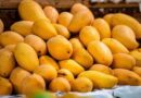 India’s Horticulture Production Estimated at Record 377.8 Million Tonnes in 2025-26