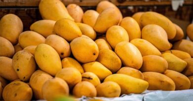 India’s Horticulture Production Estimated at Record 377.8 Million Tonnes in 2025-26