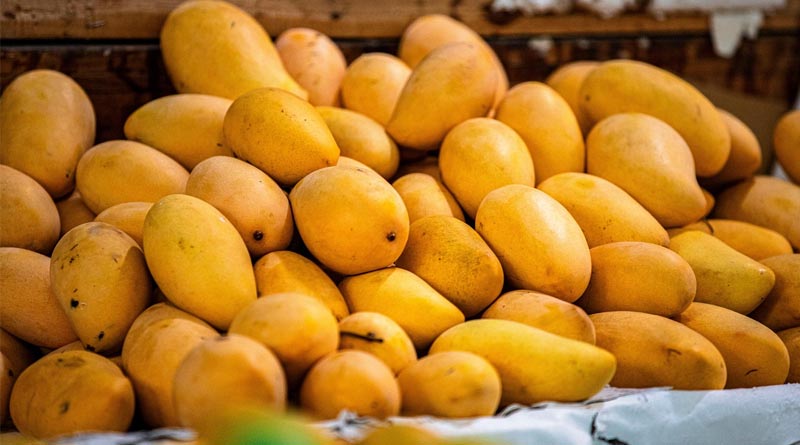 India’s Horticulture Production Estimated at Record 377.8 Million Tonnes in 2025-26