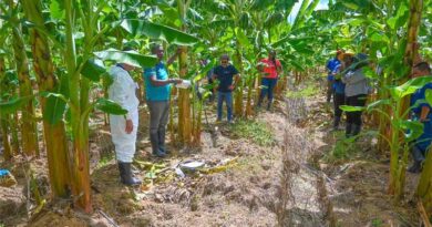 Two Epidemics, Unequal Response: Facing Human Diseases And Crop Pest And Disease Outbreaks Two Epidemics, Unequal Response: Facing Human Diseases And Crop Pest And Disease Outbreaks