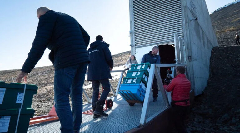 Svalbard Global Seed Vault Crosses Major Milestone - 1.4 Million Seed Samples Secured