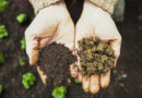 Poverty Emerges as Key Driver of Biodiversity Loss, Says Study