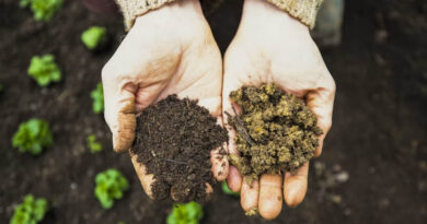Poverty Emerges as Key Driver of Biodiversity Loss, Says Study Poverty Emerges as Key Driver of Biodiversity Loss, Says Study