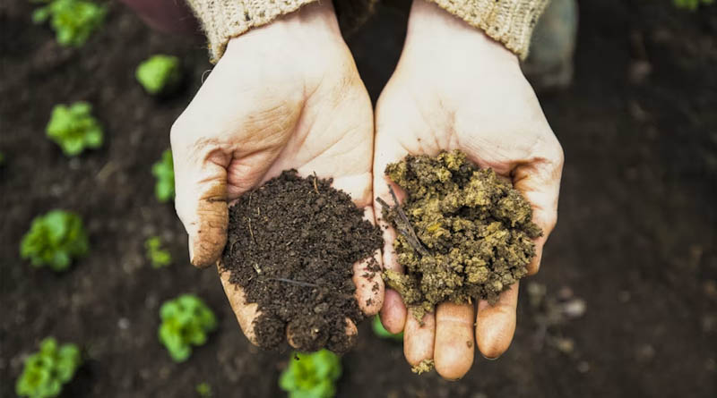 Poverty Emerges as Key Driver of Biodiversity Loss, Says Study