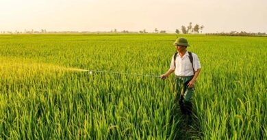 China Enforces Nationwide Ban on Four Highly Toxic Pesticides from June 1 China Enforces Nationwide Ban on Four Highly Toxic Pesticides from June 1