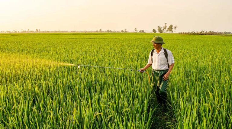 China Enforces Nationwide Ban on Four Highly Toxic Pesticides from June 1