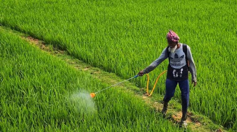 Paraquat Under Fresh Review in India as Registration Committee Seeks Final Report