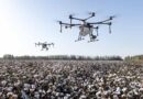 India Approves 17 New Crop Protection Products Under Section 9(3)