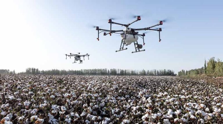 India Approves 17 New Crop Protection Products Under Section 9(3)