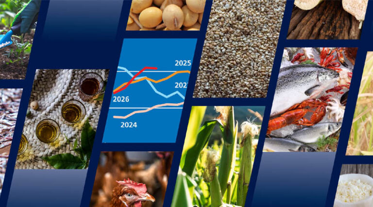 FAO Food Outlook: Global Food Commodity Market Trends Face Rising Geopolitical And Weather Risks