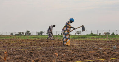 New FAO-WFP Report Warns Worsening Hunger Puts 13 Hotspots At Significant Risk New FAO-WFP Report Warns Worsening Hunger Puts 13 Hotspots At Significant Risk