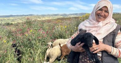 Sustainable Rangeland Restoration For Food, Feed, And Fiber