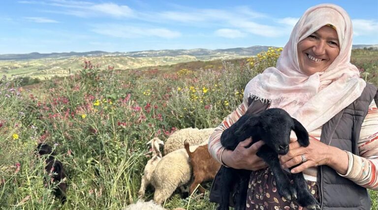 Sustainable Rangeland Restoration For Food, Feed, And Fiber