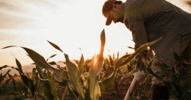 Biosolutions Could Grow to More Than €10.8 Billion and Add More Than 75,000 Jobs In Türkiye By 2035, New Report Finds Biosolutions Could Grow to More Than €10.8 Billion and Add More Than 75,000 Jobs In Türkiye By 2035, New Report Finds