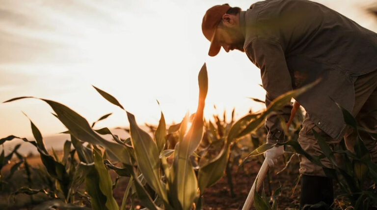 Biosolutions Could Grow to More Than €10.8 Billion and Add More Than 75,000 Jobs In Türkiye By 2035, New Report Finds