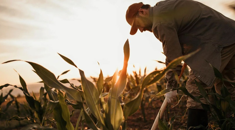 Biosolutions Could Grow to More Than €10.8 Billion and Add More Than 75,000 Jobs In Türkiye By 2035, New Report Finds