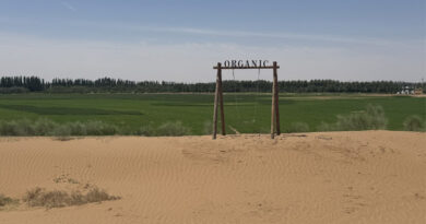 Connecting International Investors With China's Agri-Food Businesses Through Sustainability: ChinaAMC's ESG trip