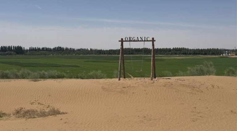 Connecting International Investors With China's Agri-Food Businesses Through Sustainability: ChinaAMC's ESG trip