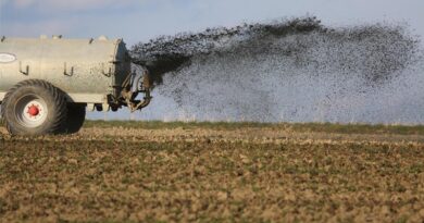 Integrated Seed, Fertiliser and Soil Health Solutions to Drive Agricultural Innovation and Sustainability Through 2032 Integrated Seed, Fertiliser and Soil Health Solutions to Drive Agricultural Innovation and Sustainability Through 2032
